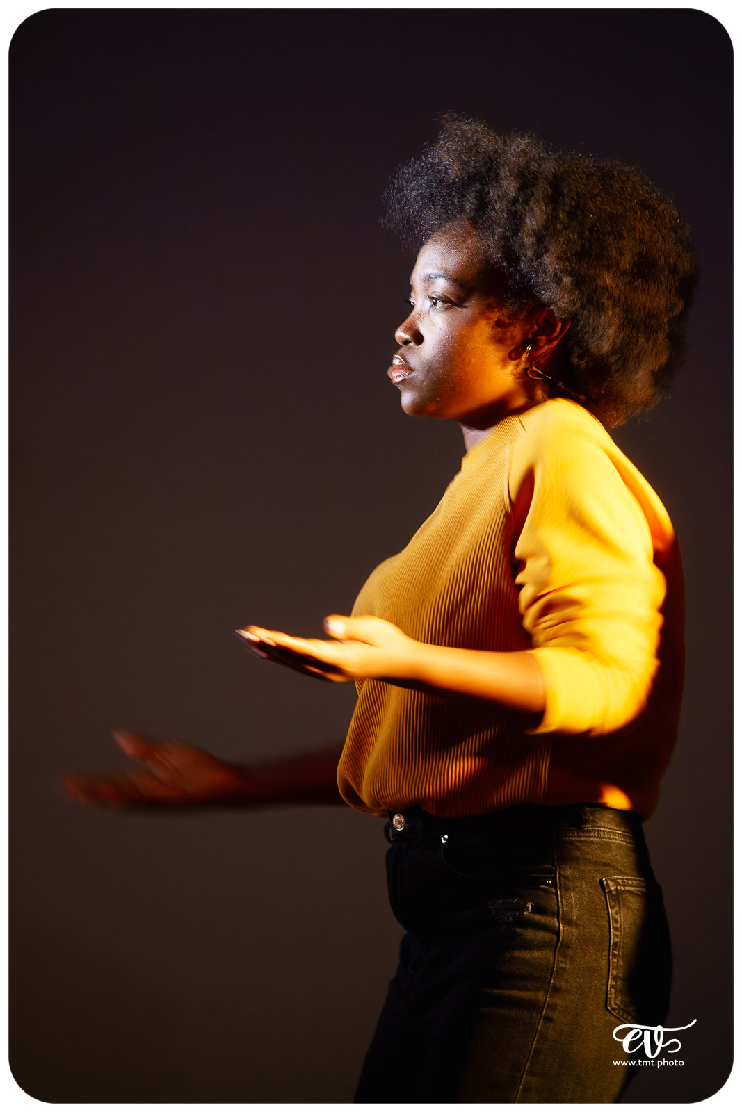 INCANDESCENCES (MADANI CIE)